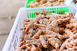 Herb medicine Tumeric root at herbal market