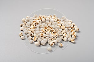 herb medicine YiYiRen or Coicis Semen or Ma-yuen Jobstears Seed