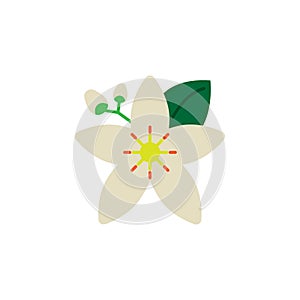 Herb, neroli icon. Element of herb icon for mobile concept and web apps. Detailed Herb, neroli icon can be used for web and mobile