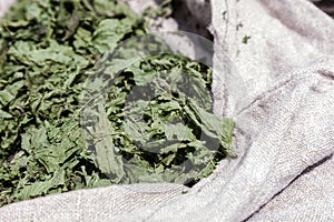 Herb nettle