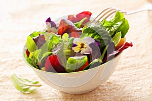 Herb salad with nasturtium flowers