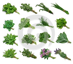 Herb Sampler