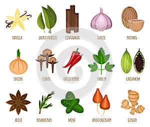 Herb seasoning and spice leaf food