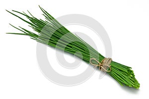 Herb Series Chives photo