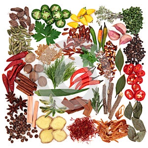 Herb and Spice Sampler