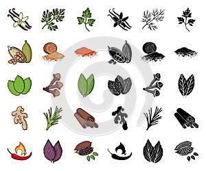 Herb and spices cartoon,black icons in set collection for design.Different kinds of seasonings vector symbol stock web