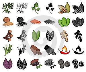 Herb and spices cartoon,black icons in set collection for design.Different kinds of seasonings vector symbol stock web