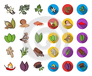 Herb and spices cartoon,flat icons in set collection for design.Different kinds of seasonings vector symbol stock web