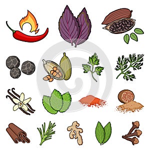 Herb and spices cartoon icons in set collection for design.Different kinds of seasonings vector symbol stock web