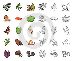 Herb and spices cartoon,outline icons in set collection for design.Different kinds of seasonings vector symbol stock web