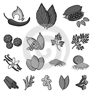 Herb and spices monochrome icons in set collection