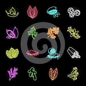 Herb and spices neon icons in set collection for design.Different kinds of seasonings vector symbol stock web