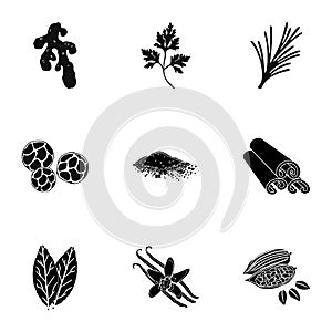 Herb and spices set icons in black style. Big collection of herb and spices vector symbol stock illustration