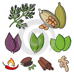 Herb and spices set icons in cartoon style. Big collection of herb and spices vector symbol stock illustration