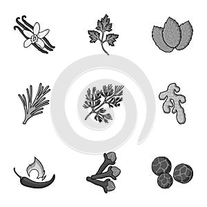 Herb and spices set icons in monochrome style. Big collection of herb and spices vector