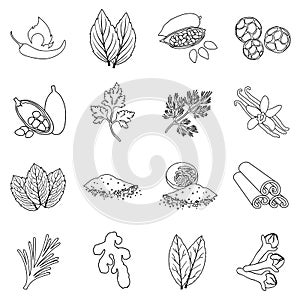 Herb and spices set icons in outline style. Big collection herb and spices vector symbol