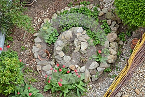 Herb spiral in early spring