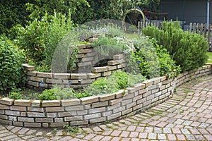 Herb spiral in the garden