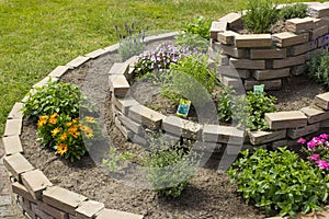 Herb spiral in the garden with herbs and flowers