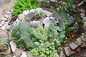 Herb spiral
