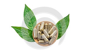 Herb supplement capsules on green leaf isolate on white background. Selective focus.