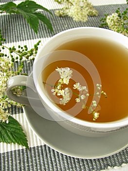 Herb tea with meadowsweet