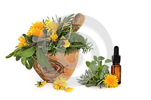 Herb and Wild Flower Therapy