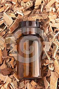 The Herb Willow Bark is Found in Nature and Used Medicinally for