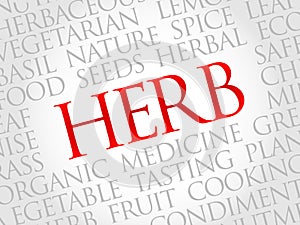 HERB word cloud