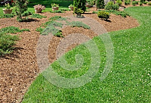 Herbaceous Border photo