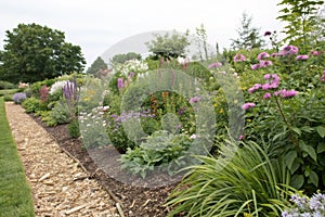 Herbaceous Border