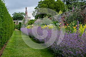 Herbaceous border at Oxburgh Hall, Norfolk UK. Purple Catmint, also known as Nepeta Racemosa or Walker`s Low in the foreground.