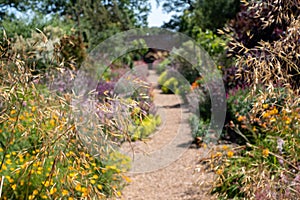 Herbaceous borders in the historic walled garden at Felbrigg Hall near Cromer in North Norfolk. East Anglia UK