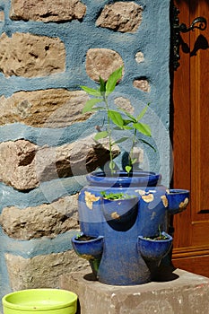 Herbage pot