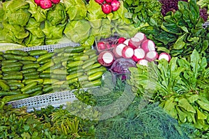 Herbage and salad at a market