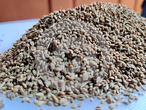 Herbal ajwain seeds over white background