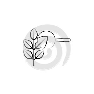 Herbal, alternative medicine icon. Element of alternative medicine icon for mobile concept and web apps. Thin line Herbal,