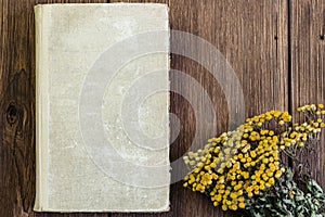 Herbal alternative medicine, medicinal dry herb Tanacetum for phytotherapy, bunch of dried tansy plant and old vintage