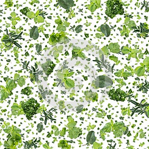 Herbal background (on white)