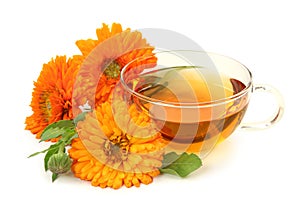 Herbal calendula tea