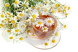 Herbal camomile tea photo