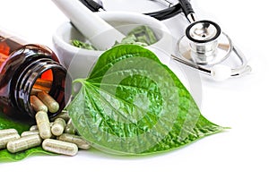 Herbal capsule eith betel leaf