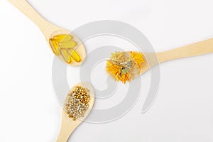 Herbal capsule, natural vitamins, dry calendula flowers at wooden spoon on white background. Concept of healthcare and alternative