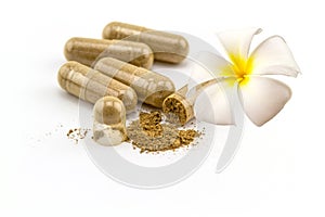 Herbal capsule and white and yellow Plumeria spp. flower(frangipani , Pagoda tree or Temple tree )