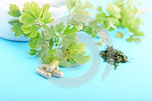 HERBAL CAPSULES CLOSE UP