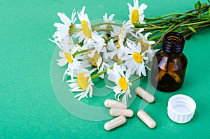 Herbal capsules, pills of chamomile medicinal