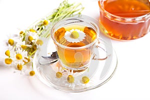 Herbal chamomile tea with honey and blossoms, white background