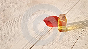 Herbal essence in glass bottle and leaf on wooden background. Alternative healthy medicine, skin care. Copy space