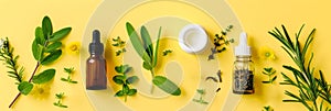 Herbal essences and medicinal plants isolated on yellow background. Essential oils and fresh herbs. Concept of natural