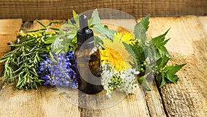 Herbal essential oil skincare bottle with plants and herbs, alternative medicine organic skincare